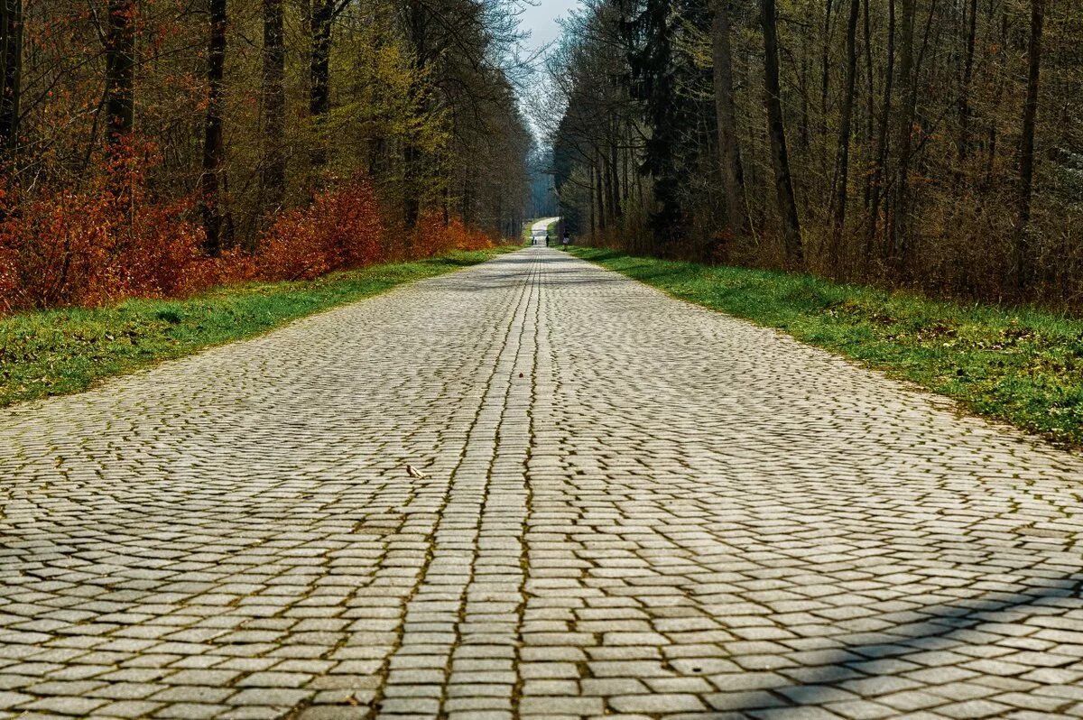Дорога со старым. Старая дорога. Старинные дорожки. Древняя дорога. Старая каменная дорожка в даль.