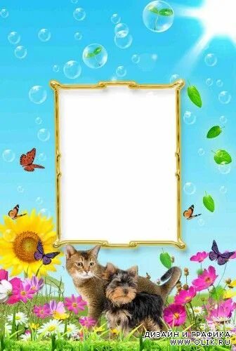 Портфолио животных. Портфолио мои питомцы. мои домашние питомцы портфолио. мои домашние животные портфолио. портфолио мой домашний питомец.