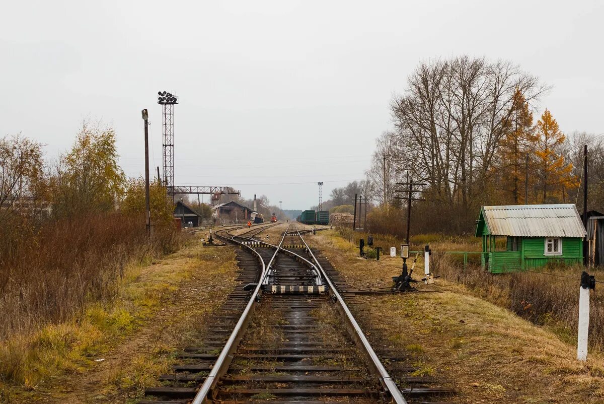 Селижарово ЖД станция. ЖД станция Селижарово вокзал. Селижарово Тверская область. Селижарово ЖД. Погода в селижарово на 10