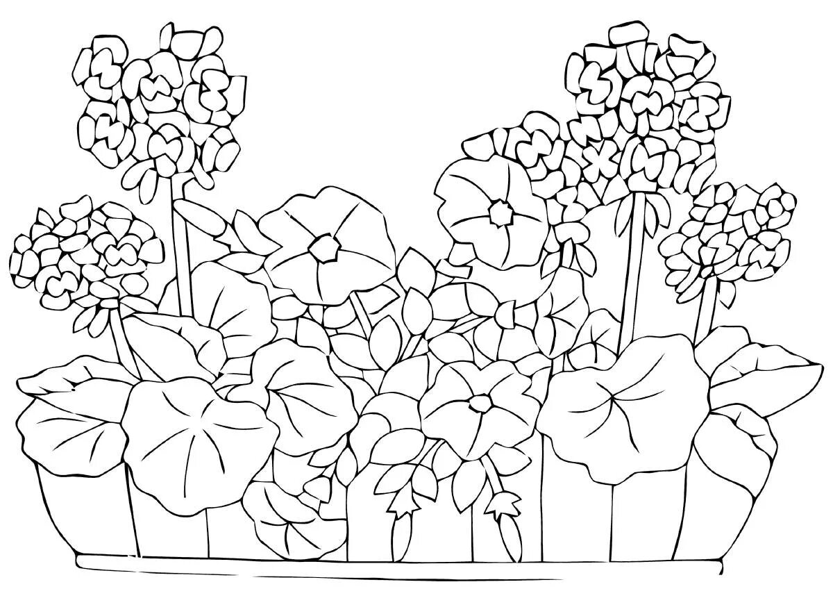 Клумба с цветами раскраска. Цветы на клумбе раскраска для детей. Раскраска клумба с цветами для детей. Раскраска герань в горшке для детей.