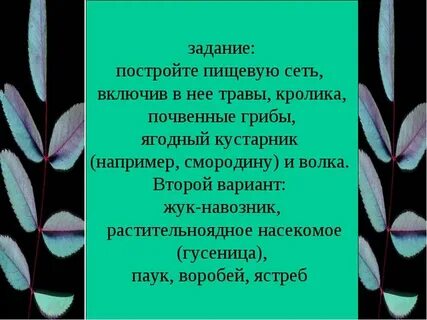 Питающиеся мертвым органическим веществом