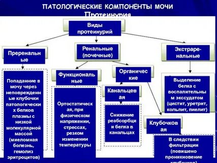 Компоненты мочи