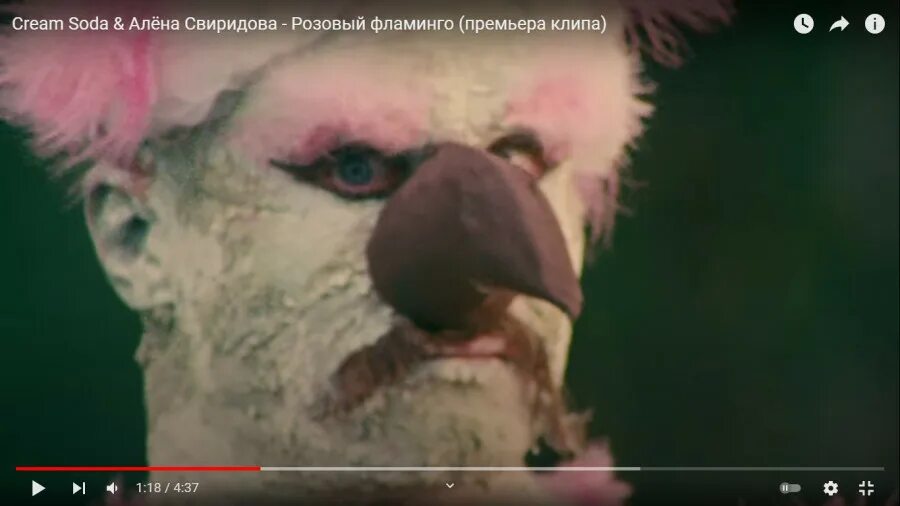 никита кукушкин розовый фламинго. розовый фламинго cream soda, алена свиридова. Cream soda розовый. никита кукушкин фламинго. Cream soda розовый.