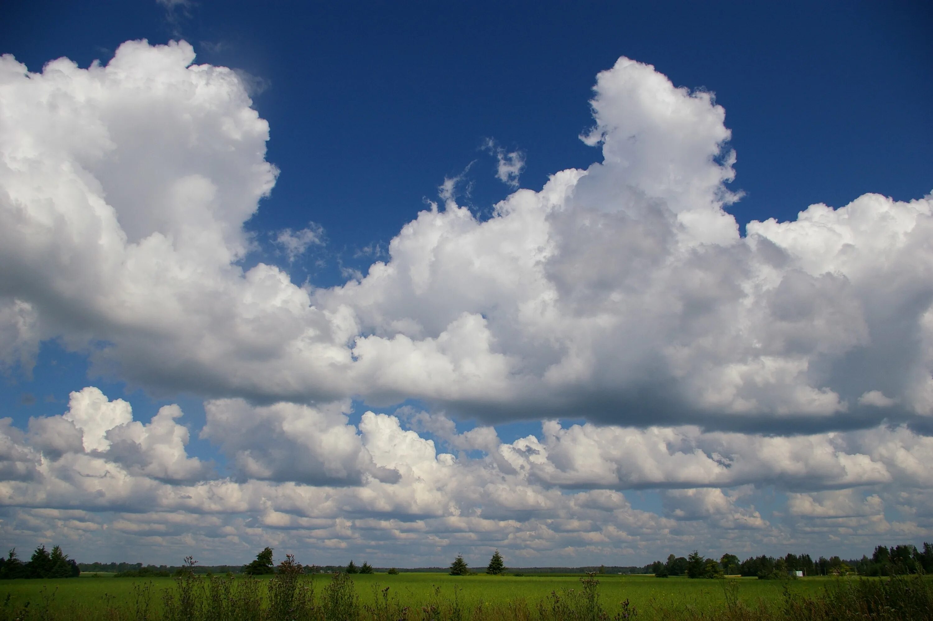 Кучевые средние облака Cumulus mediocris. Кучевые дождевые облака. Кучевые средние – Cumulus mediocris (cu med.). Башенкообразные Кучевые облака.