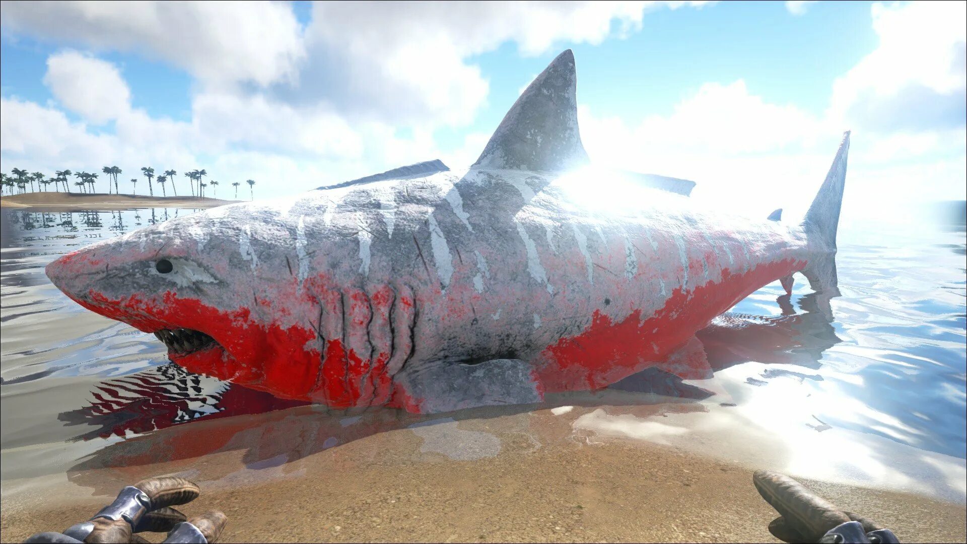 Мегалодон сервер. Кархародон мегалодон. ark survival evolved мегалодон. отодус мегалодон. большая акула мегалодон.