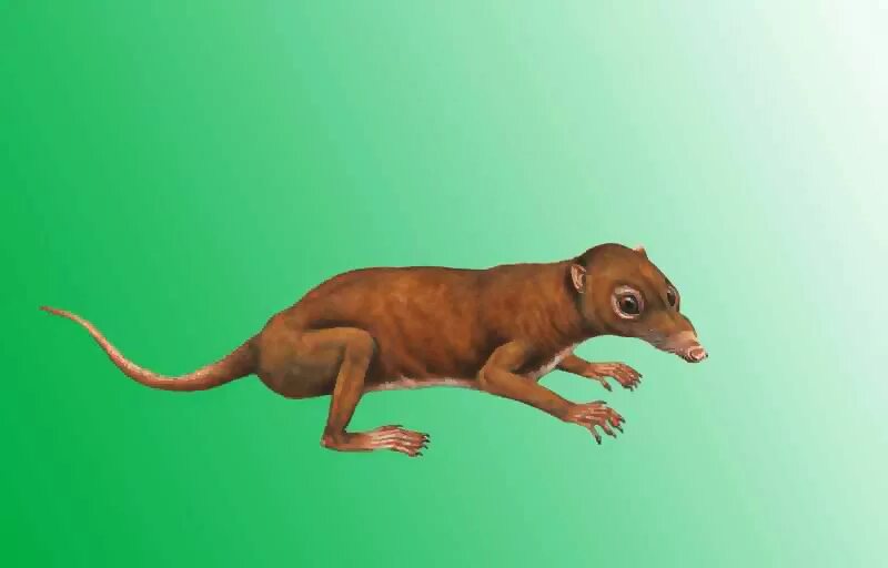 Млекопитающие мезозойской эры. Появление млекопитающих. Появление первых млекопитающих эра. Триасовый период зденек буриан. Кайнозойская мегафауна.