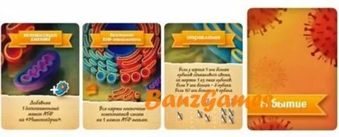 Игра биология 5