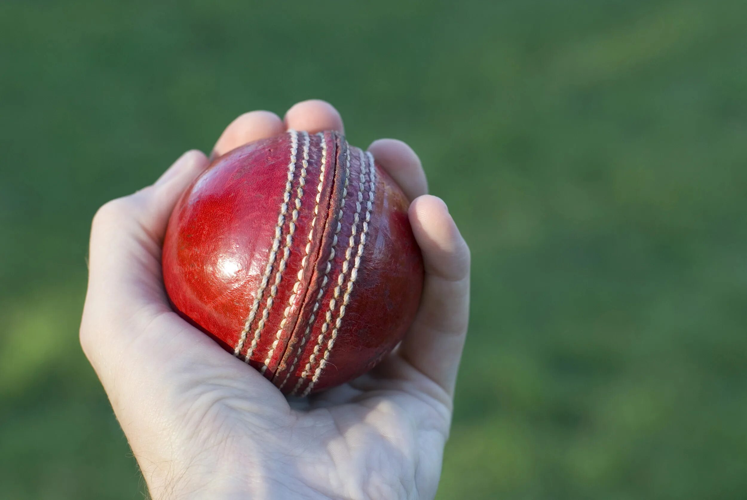 брендированные гольф мячи. следующий мячик. разноцветные мячики. мячики для детей. уровень 310 dop 4 мяч для гольфа.