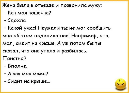 Анекдоты про мужа и жену. Анекдоты про семью. Анекдоты для семьи. Измена муж звонит