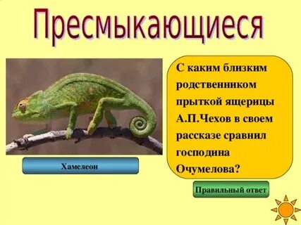 Хамелеон ответы на вопросы