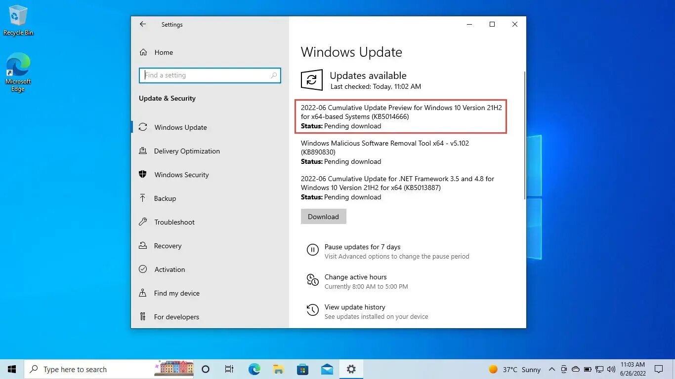 Windows 10 version 21h2 x64. Окно виндовс 10. окно превью. windows 10 version 21h2. windows 10 build 21990 dev.