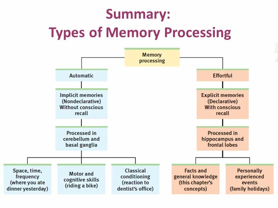 Memory processes. Human memory types. memory process. how human memory works. 3 types of memory.