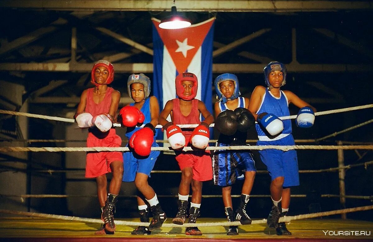 Стивенсон боксер Куба. Бокс школа Куба. Теофило Стивенсон кубинский бокс. Кубинская школа бокса.