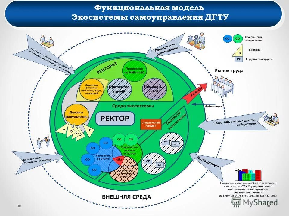 схема биогеоценоза (экосистемы), по в. живые организмы экосистемы схема. экосистема презентация. структуры компонентов экосистемы. экосистема это в экологии.