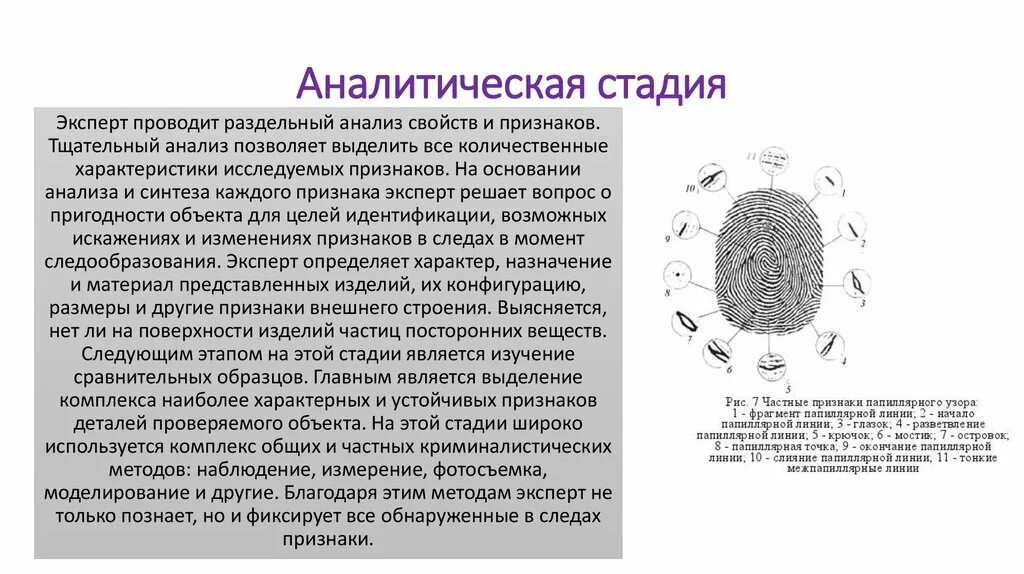 Аналитическая стадия. Аналитические стадии исследования-. Аналитический этап экспертного исследования. Фаза экспертно аналитическая.