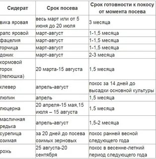 Сколько дней можно посадить