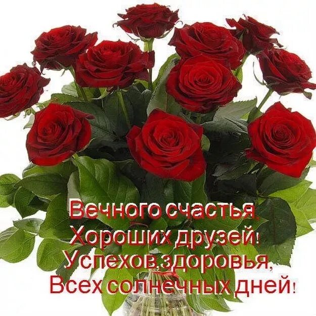 Пусть гул