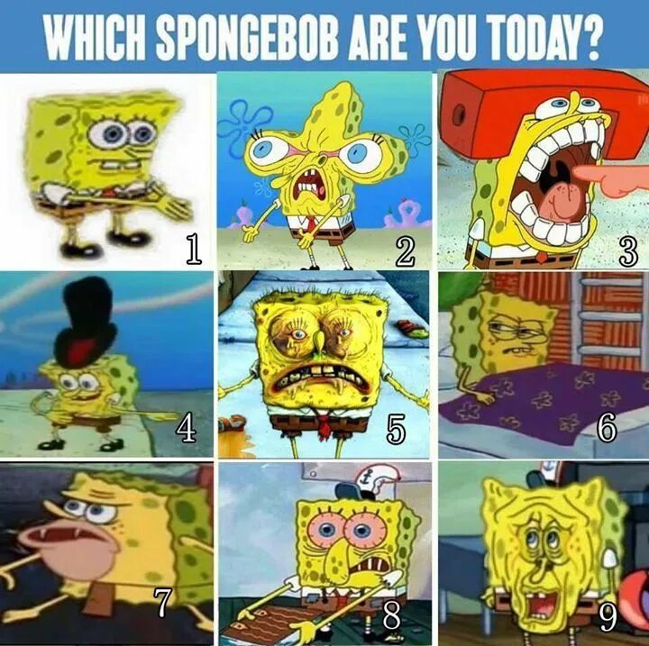 Which meme are you. Who are you today. which are you today. what spongebob are you today. what meme are you today.