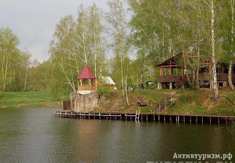 Березка ая. Лагерь Березка озеро ая. Турбаза Березка Алтай. Турбаза берёзка на озере ая. Турбаза Березка горный Алтай.