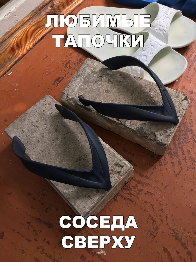 Как нас видят. Тапочки домашние женские. Сонник домашняя тапочка. Тапочки с котами. Тапочки для сна.