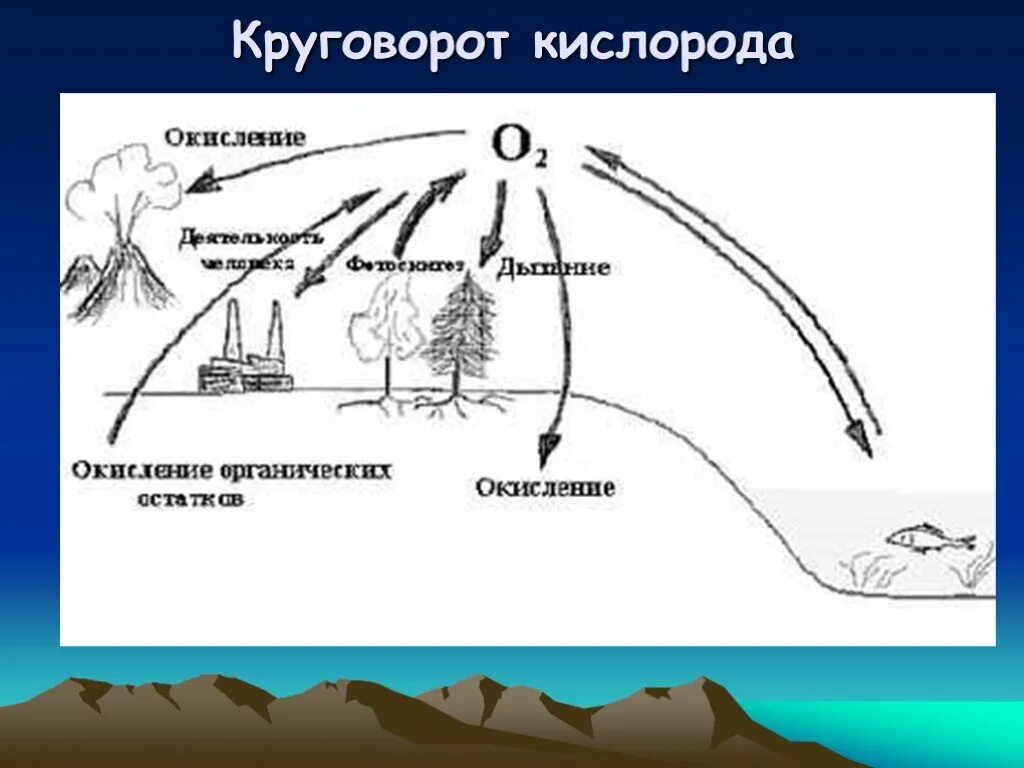 Воздушные круговороты. Биогеохимический цикл кислорода схема. Круговорот кислорода схема. Круговорот веществ в природе кислород схема. Круговорот кислорода в природе.