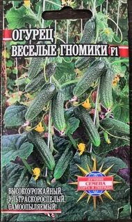 Огурец гномик f1 описание