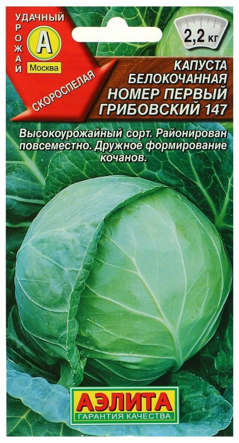 Капуста номер первый грибовский 147. Капуста белокочанная Грибовский 147. Капуста Грибовский номер 1. Капуста номер первый Грибовский. Капуста белокочанная номер первый Грибовский 147.