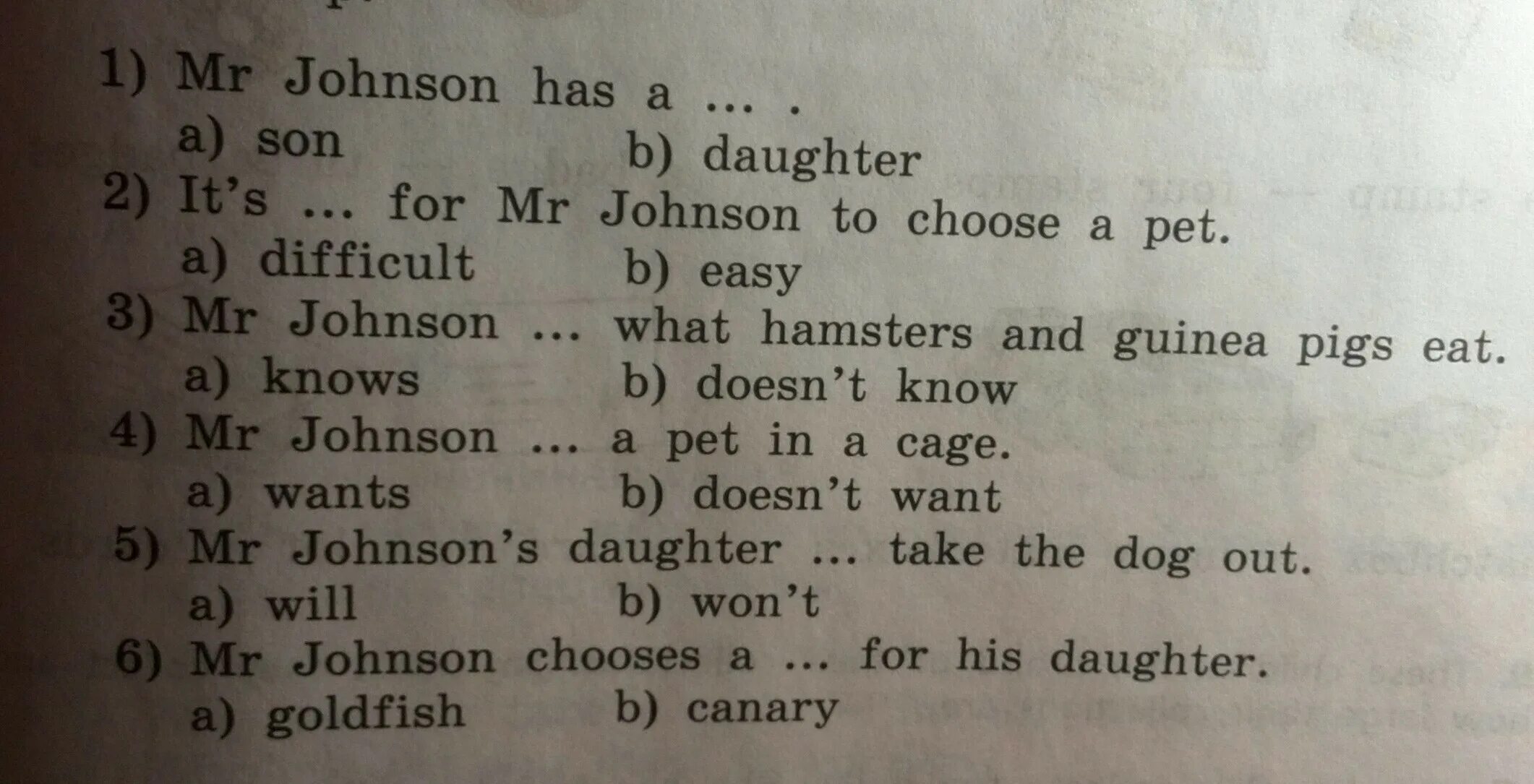 Перевод текста дословно. Mr Johnson has a daughter.. Mr Johnson has come to eat at the Restaurant ответы. Dr Johnson and Mr Johnson after great consideration. Mr. Johnson’s last Words in English.