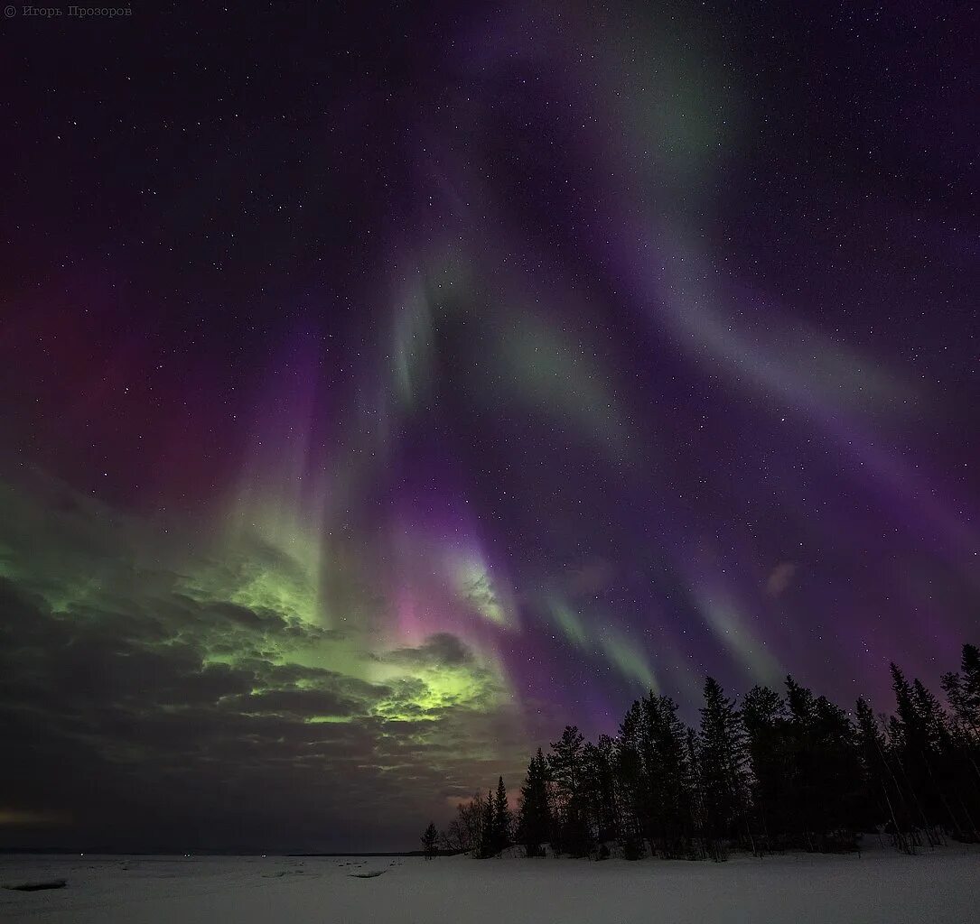 Кандалакша полярные. Кандалакша полярная ночь. Кандалакша северное сияние. Северное сияние кандалакша северное сияние. Кандалакша северное сияние.