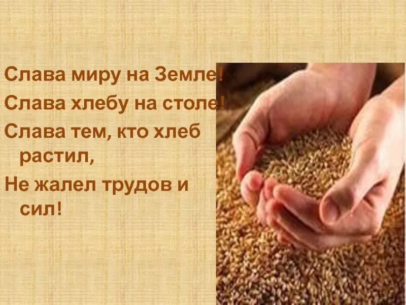 Чья земля того и хлеб. Слава миру на земле слава слава хлебу на столе. хлеб на столе мир на земле. стих слава миру на земле слава хлебу на столе. стихотворение слава хлебу.