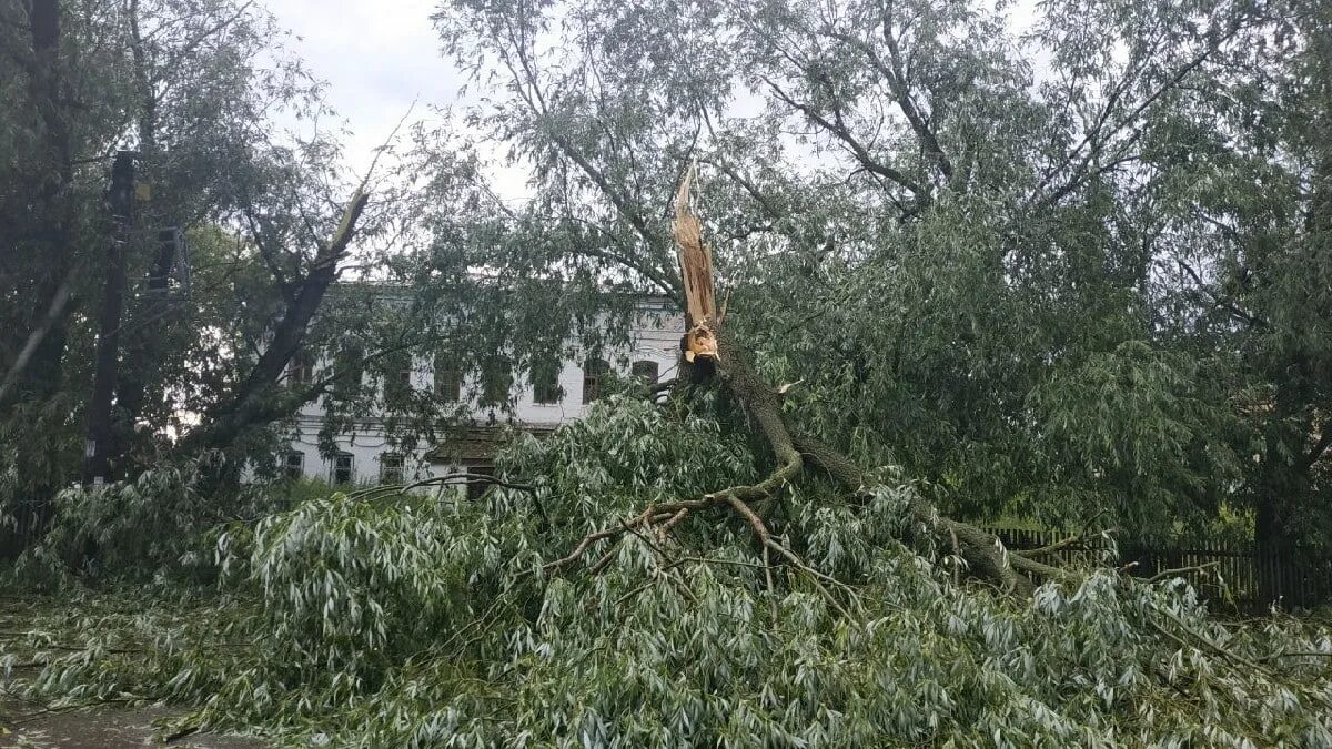 Где в москве прошел ураган. Ураган в рязани. ураган углич. град дерево.