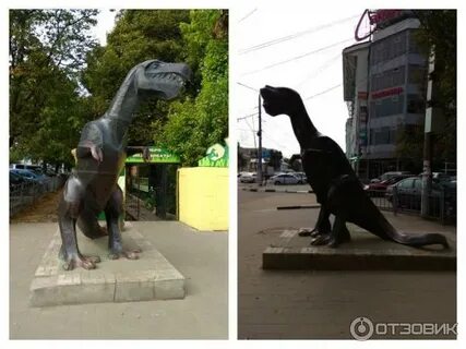 Студенческий хвост тула