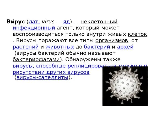 Доклад о вирусах 5 класс биология. Рассказ о вирусах по биологии 5 класс. Вирусы 5 класс. Сообщение о вирусах 5 класс. Virus data