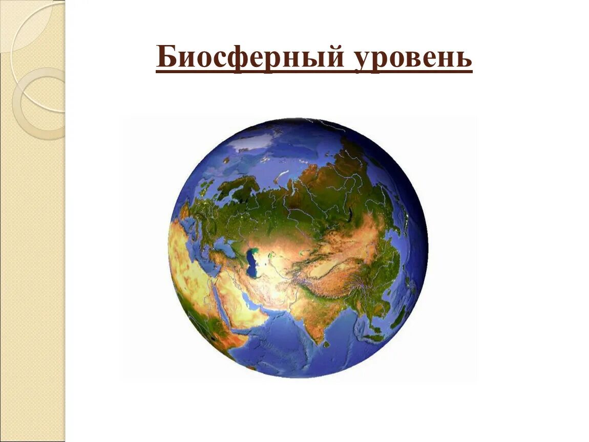 Биосферный уровень. Биосферный уровень жизни. Биосферный уровень организации. Биосферный уровень уровень.