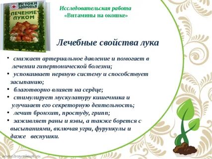 Зеленый лук свойства