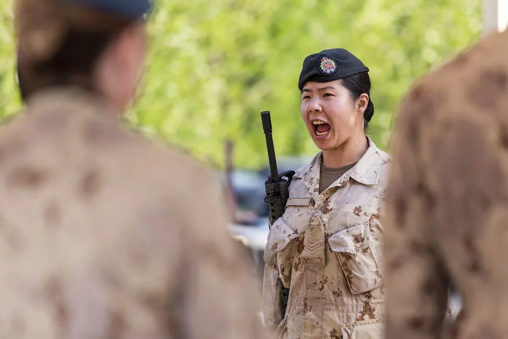 Reserve personnel soldier. Нато в ираке. Doorgunner. Канадский "солдат удачи". Грустный американский солдат.