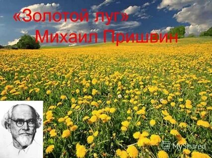 Пришвин золотой