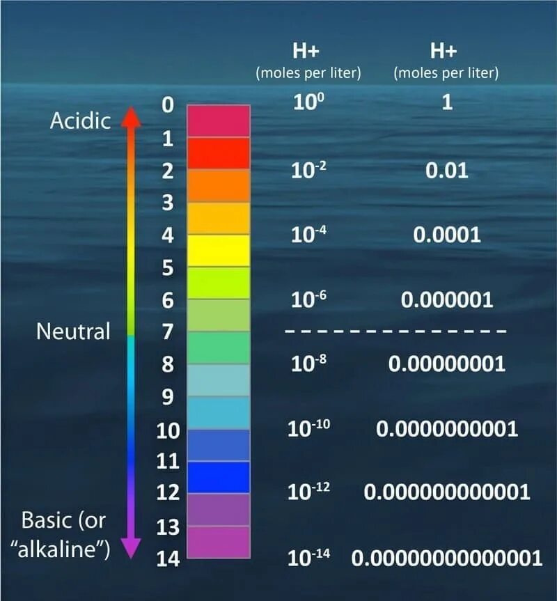 Уровень ди. Показатель нейтральной кислотности PH. Уровень PH шкала. PH уровень кислотности шкала. Шкала кислотности PH воды.