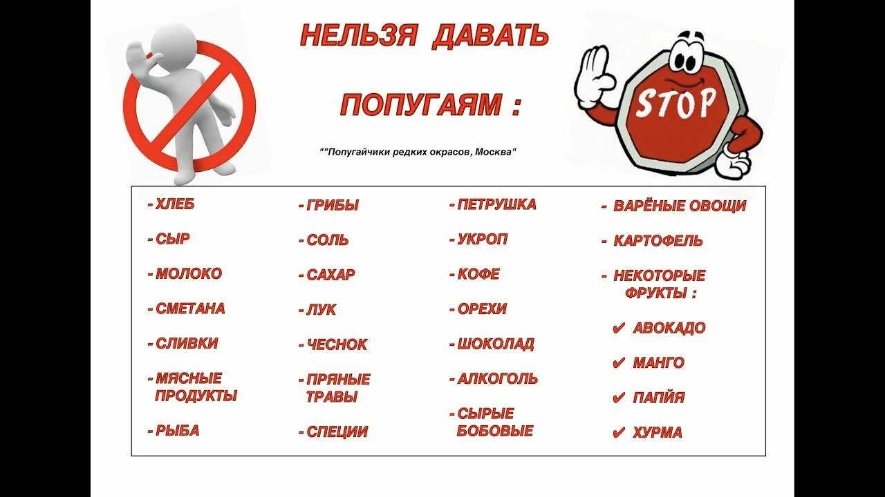 Можно ли попугаю жареные семечки