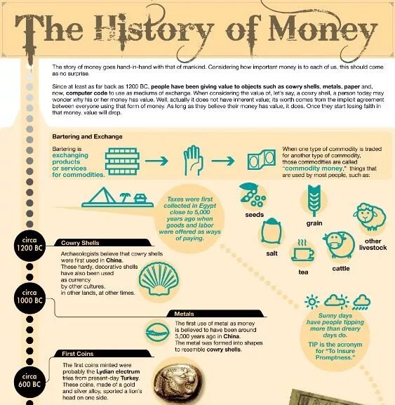 Forms of money. История инфографики. Историческая инфографика. Инфографика деньги. История компании инфографика.