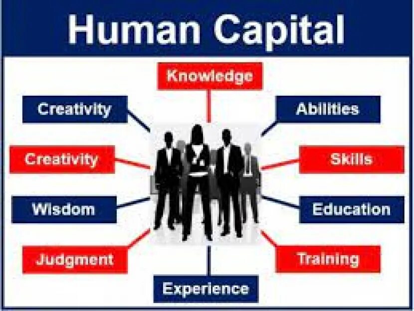 Human Capital. UZOMANCAPITAL. Человеческий капитал картинки. Человеческий капитал компании.