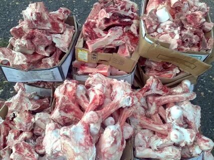 Продам мясо собакам
