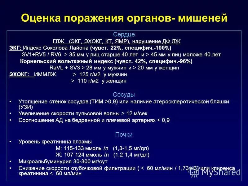 Индексы гипертрофии левого желудочка. Индексы гипертрофии левого желудочка