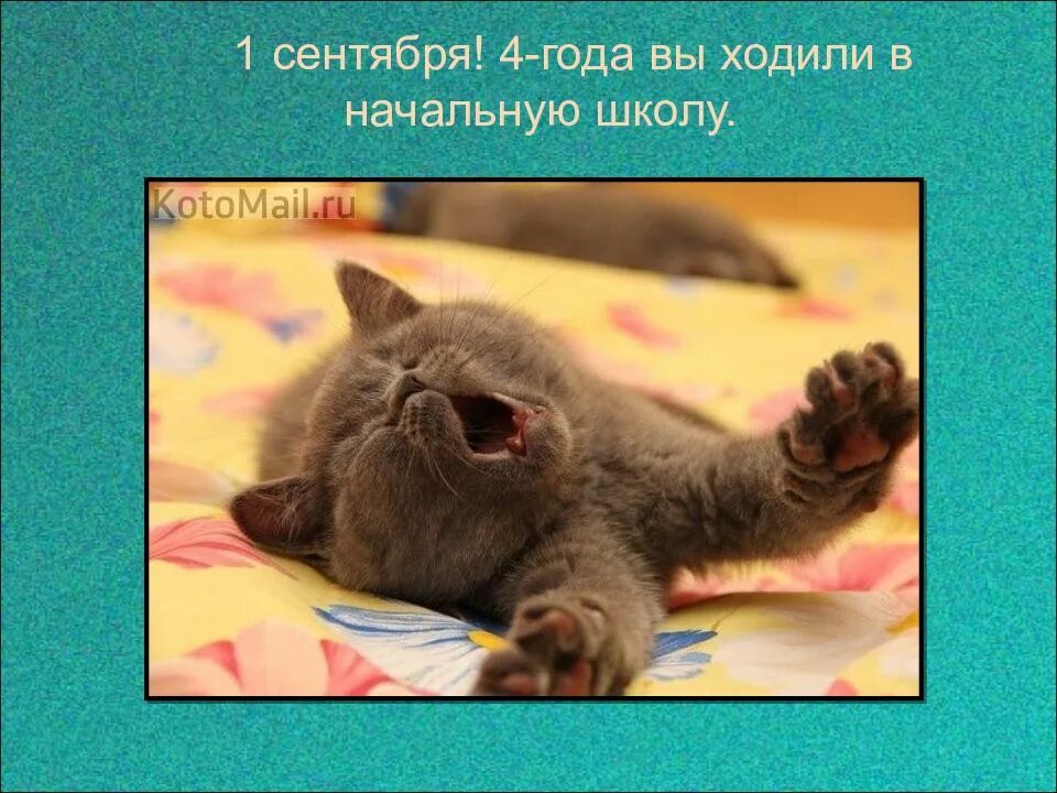 Дети уходят в школу родители радуются. Шутки про скоро в школу. Родители радуются что ушли дети. Сентябрь картинка с надписью сентябрь. Ни колбаски ни сырочка мы собрали в школу.
