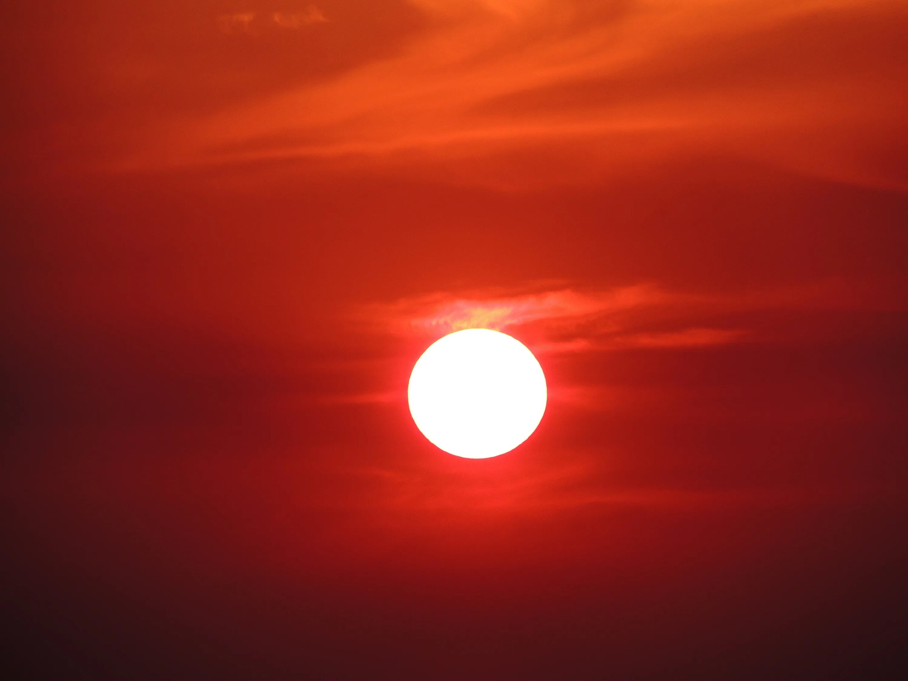 Красным стало небо солнце. Красное солнце. Красный закат. Солнце на Красном фоне. Красное солнце в небе.