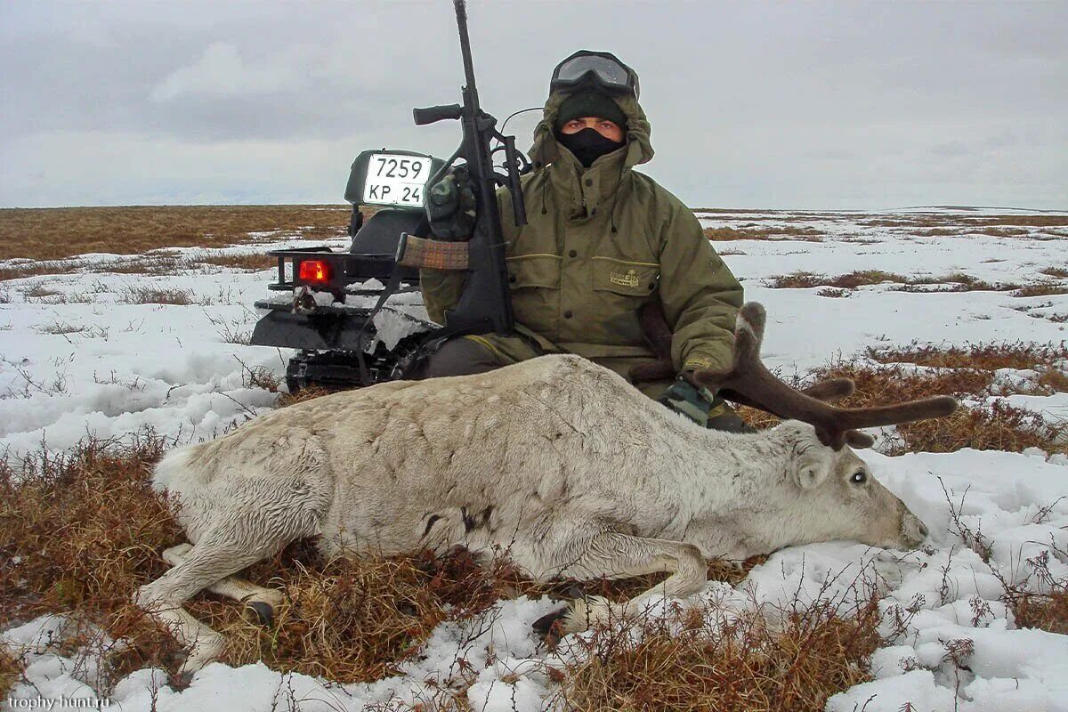 Телеканал охотник и рыболов. Программа охотник и рыболов. Программа охота. Телеканал рыбалка. Ведущий канала охота и рыбалка.