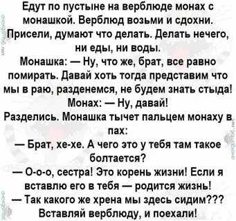 Анекдот верблюд
