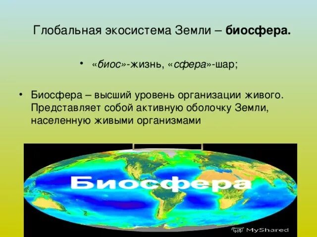 Самая большая экосистема на земле. Экосистема земли. Глобальные экологические системы. Биосфера и экосистема. Биосфера Глобальная система.