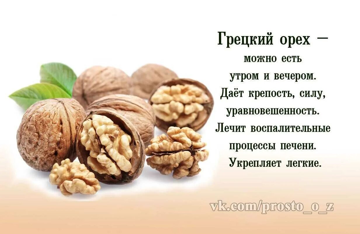 Грецкий орех польза. Польза грецких орехов. Что полезного в грецких орехах. Полезные орехи для организма.