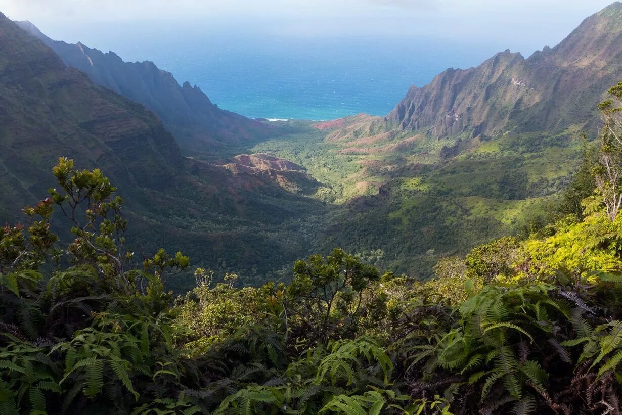 Горы в тропиках. Тропический лес в горах. Горные долин коста рики. Коста рика латинская америка. Оаху джунгли.